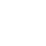 Anne Breitner